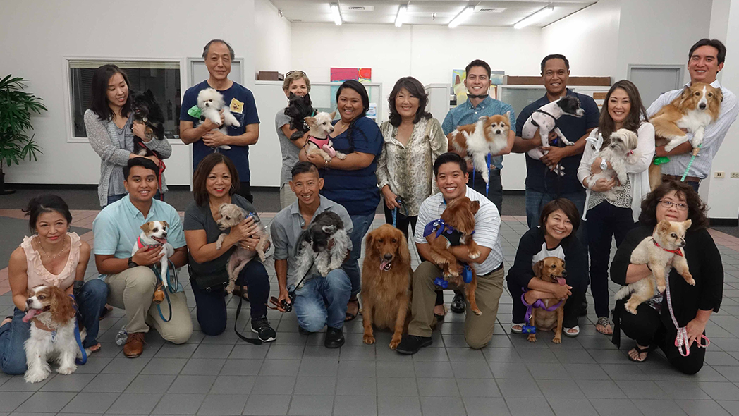 First Bring Your Dog to Work Day