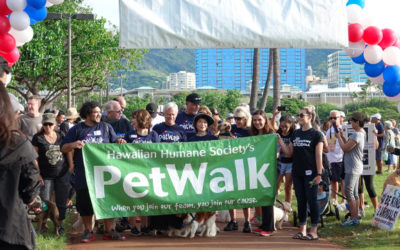 Servco Volunteers at Hawaiian Humane Society’s 2017 PetWalk