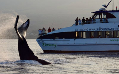 Pacific Whale Foundation Takes Lanai Students on First Whale-Watching Expedition Thanks to Servco  Foundation