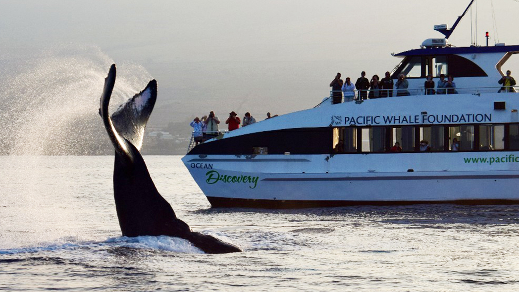 Pacific Whale Foundation Takes Lanai Students on First Whale-Watching Expedition Thanks to Servco  Foundation