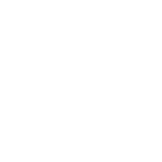 PLAN logo