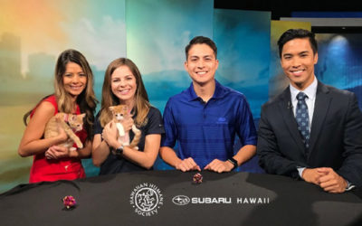 Subaru Hawaii Waives Adoption Fees at Pictures with Santa Paws