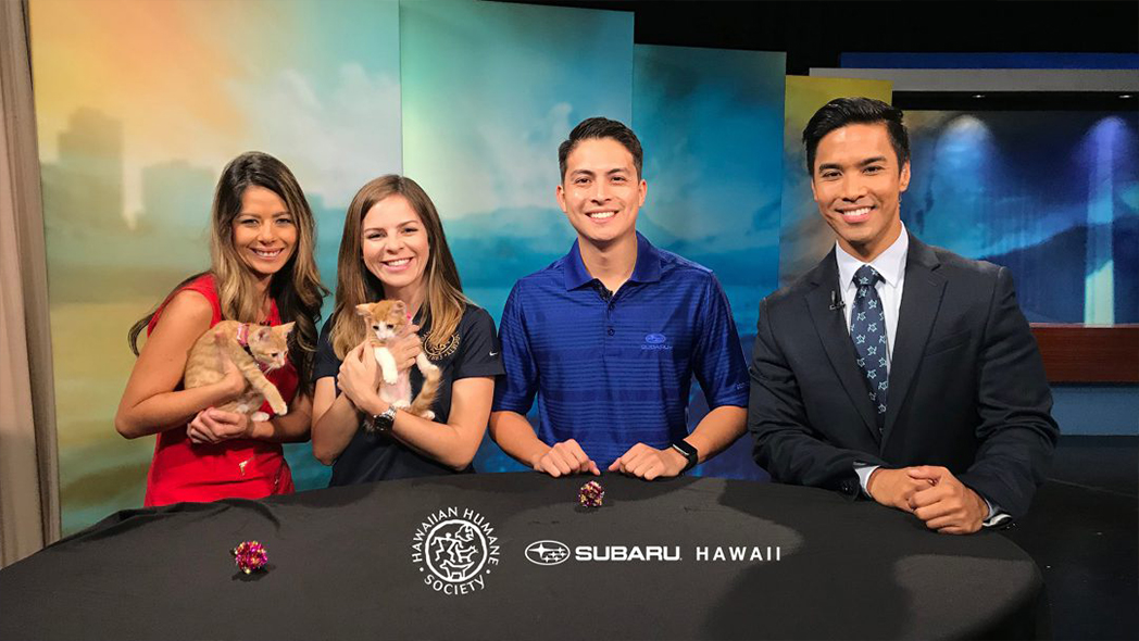 Subaru Hawaii Waives Adoption Fees at Pictures with Santa Paws