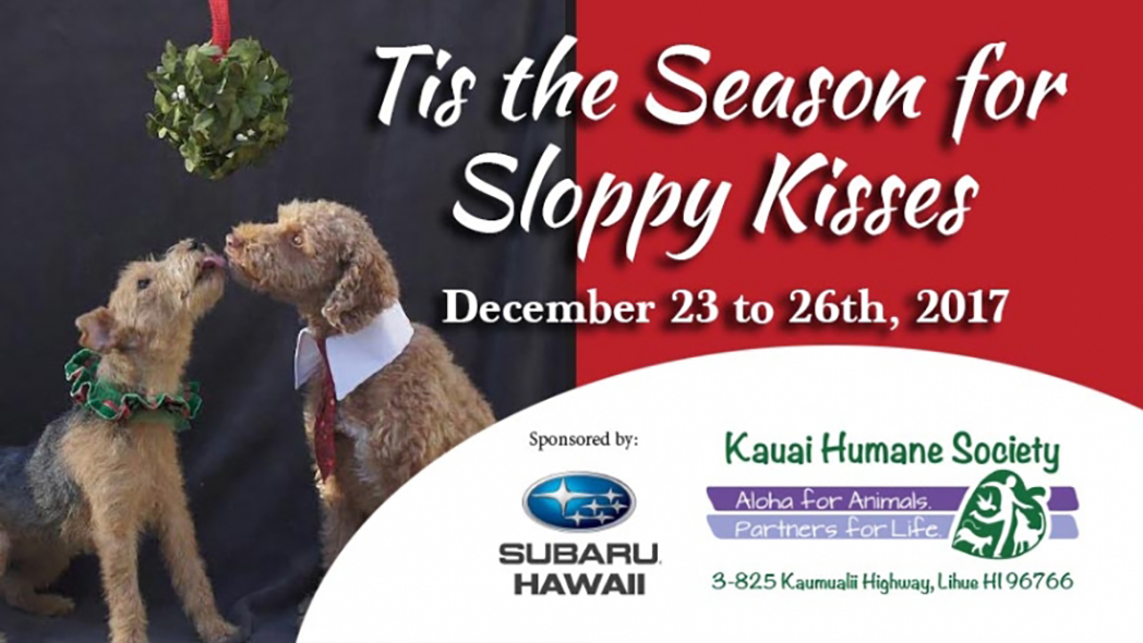Subaru Hawaii Partners with Kauai Humane Society for Sloppy Kisses Adoption Event