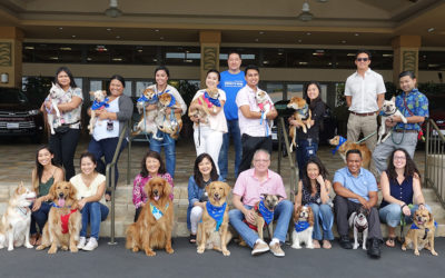 Team Servco Paw-ticipates in Bring Your Dog to Work Day