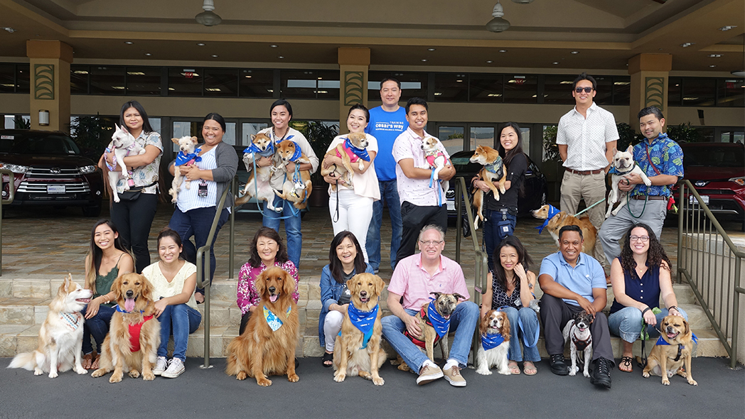 Team Servco Paw-ticipates in Bring Your Dog to Work Day