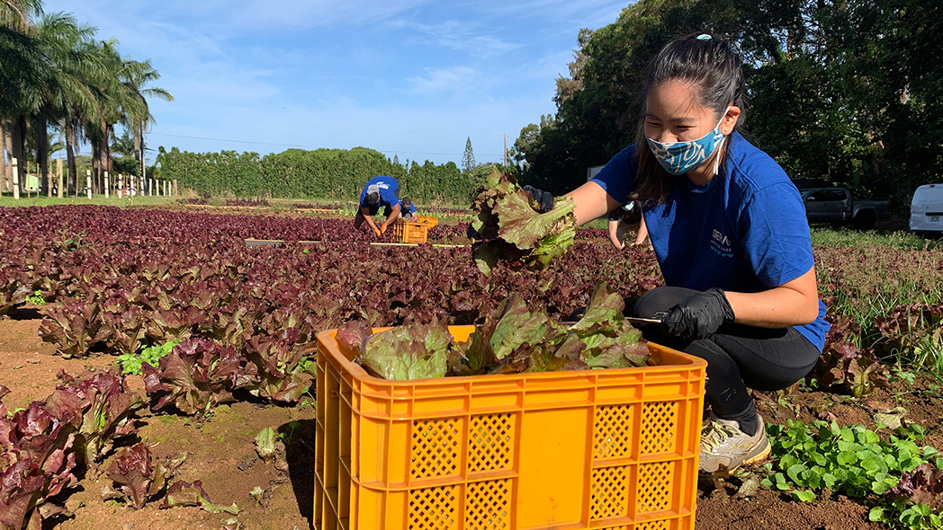 Servco Recognized as a Most Charitable Company in Hawaii by Hawaii Business Magazine