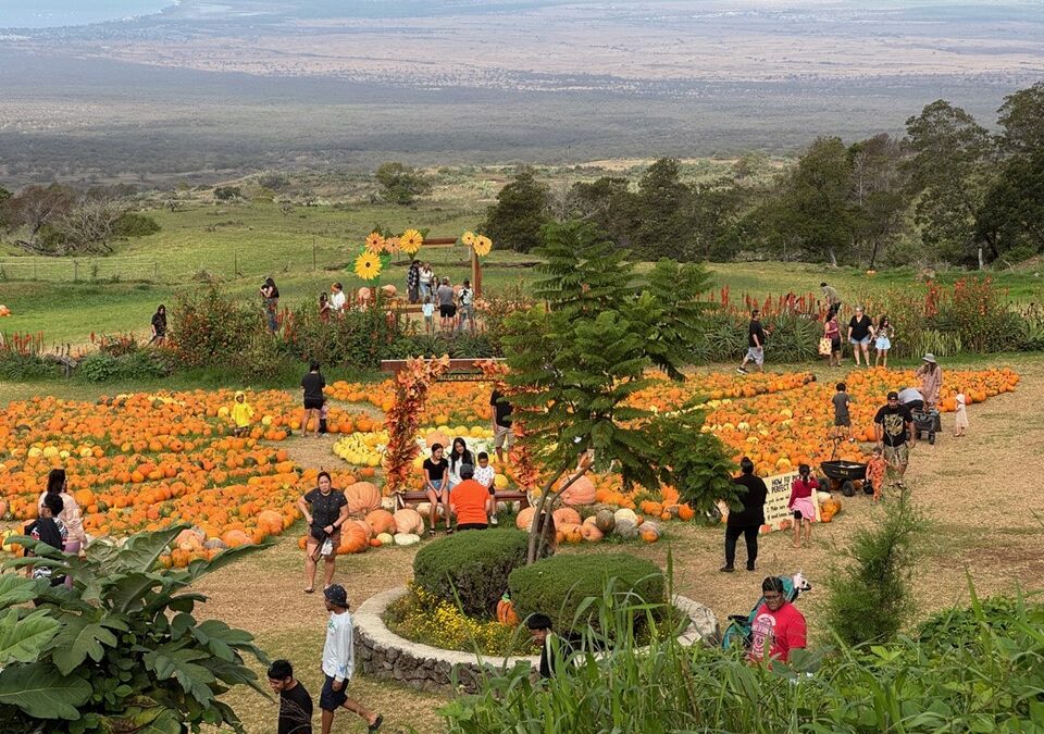Toyota Hawaiʻi Celebrates Fourth Annual Kamaʻāina Sunday at Kula Country Farms